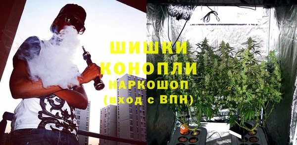 ГАЛЛЮЦИНОГЕННЫЕ ГРИБЫ Абдулино