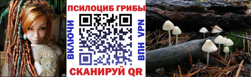 продажа наркотиков  Чердынь  дарк нет наркотические препараты  Псилоцибиновые грибы MAGIC MUSHROOMS 